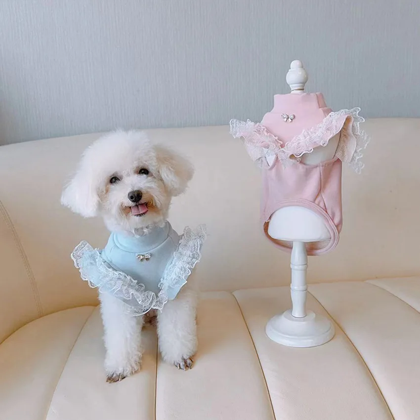 เสื้อผ้าสัตว์เลี้ยงฤดูใบไม้ร่ว - Lace Teddy Lingerie บทวิจารณ์และราคา